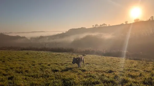Se ve a un dios corriendo en un campo con colinas al fondo y rayos de un sol bajo que brillan sobre la hierba.