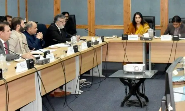 سینیٹ، آئی ٹی، ٹیلیکام، پی ٹی اے، وی پی این