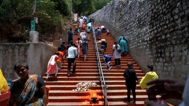 అలిపిరి, తిరుపతి, తిరుమల, టీటీడీ, భద్రత, వన్యప్రాణులు