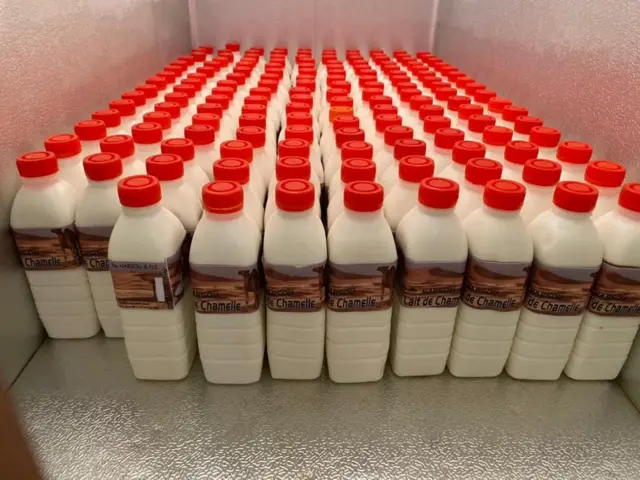 Des bouteilles de lait conditionnées