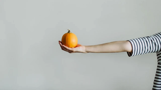 회색 배경 앞에서 팔을 뻗은 사람이 손바닥 위에 작은 주황색 호박을 올려 놓고 있다