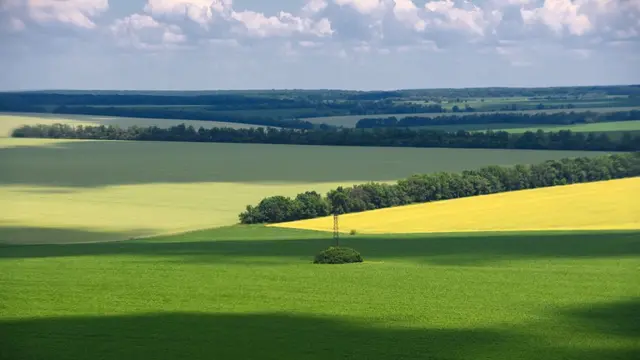 Файна Юкрайна