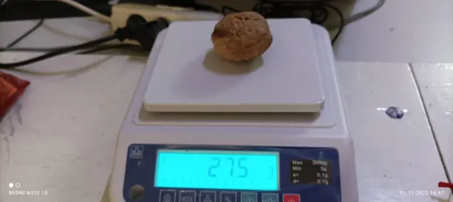 Өзгөндөгү жумурткадай чоң жаңгак