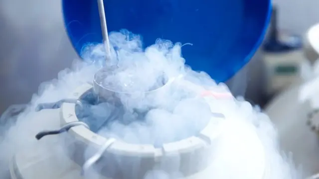 난자 냉동은 향후 사용하기 위해 난자를 채취해 보관하는 방법이다