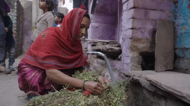 सुनीता देवी