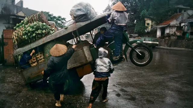 Việt Nam, đất đai