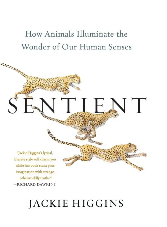 Portada del libro Sentient de Jackie Higgins