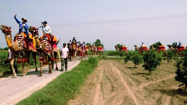 ઊંટ પર સવાર બીએસએફની સૈનિકો