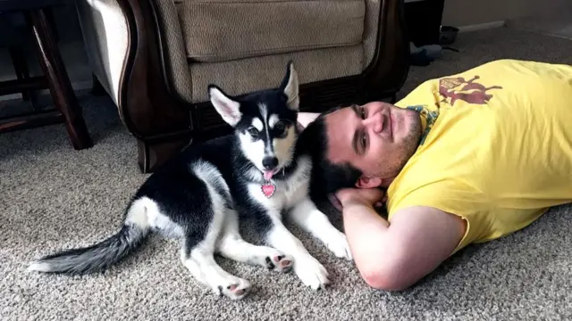 Кэмерон Уилер и Лиза Рочоу из штата Мичиган говорят, что хаски Эри заменила им ребенка