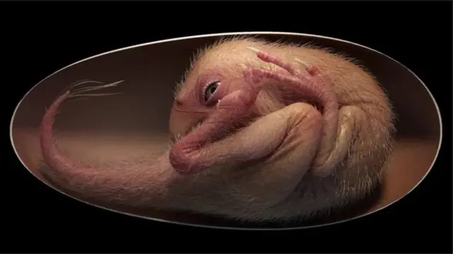 ਡਾਇਨਾਸੋਰ