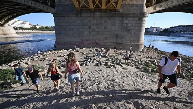 Люди на сухом участке земле у опоры моста.