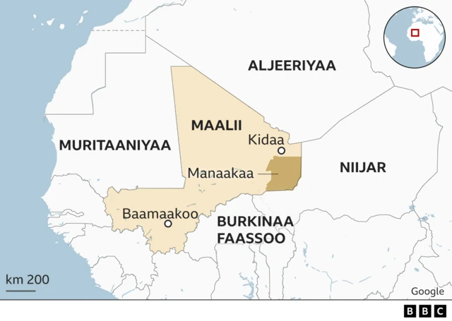 Maalii bulchiinsa Manaakaa