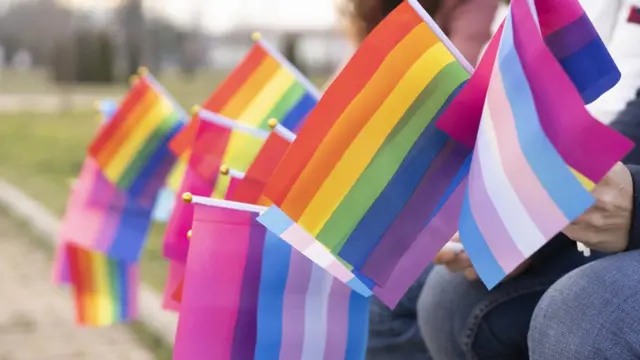 Glossary of LGBTIQA+ terms 1