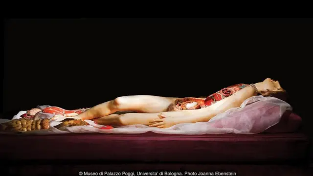 Museo di Palazzo Poggi, Universita' di Bologna /Joanna Ebenstein