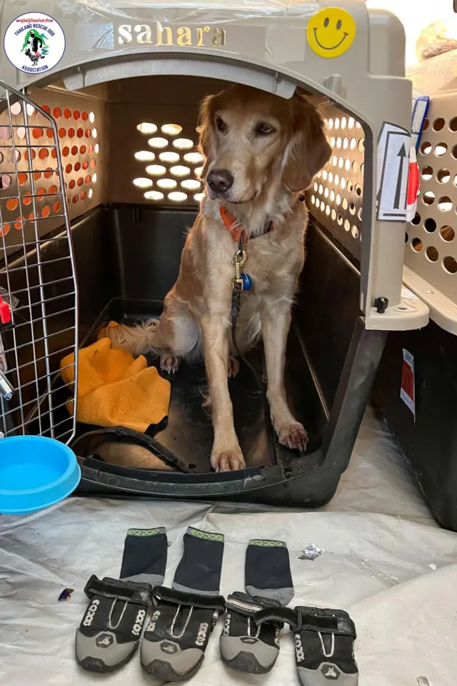 รองเท้ากันสุนัขบาดเจ็บ