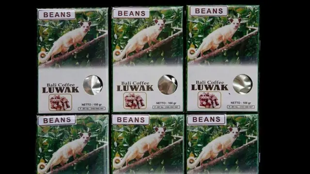 சிவெட் காபி, புனுகுப்பூனை, திருப்பதி திருமலா கோவில்