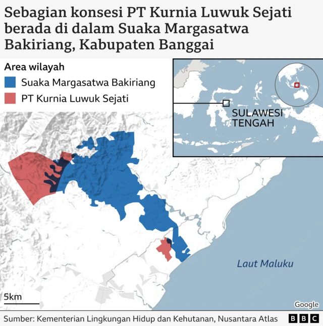 Sebagian konsesi PT KLS berada di dalam kawasan konservasi SM Bakiriang.