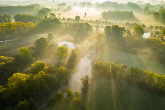A landscape view of a foggy wooded valley with streaks of sunlight