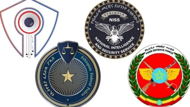 የጸጥታና ደኅንነት የጋራ ግብረ ኃይል 