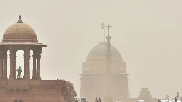 গাছ কাটা বন্ধ করতে সম্প্রতি দিল্লি কর্তৃপক্ষকে নির্দেশনা দিয়েছে আদালত