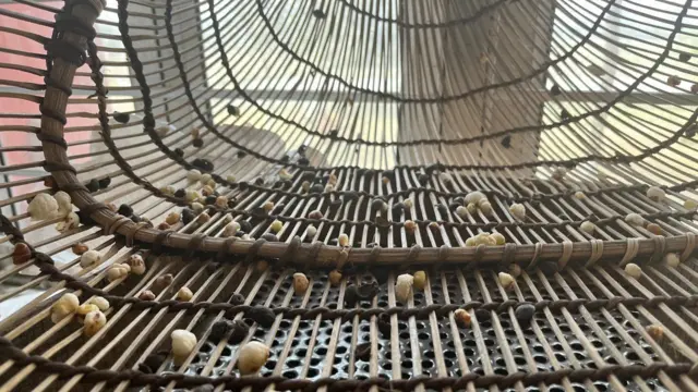 मखाने की क्वालिटी को 'सूता' में नापा जाता है