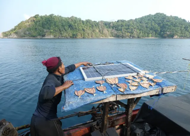 رجل يبيع أسماكا مجففة