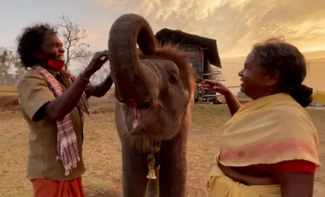 யானை, ஆவணப்படம், முதுமலை