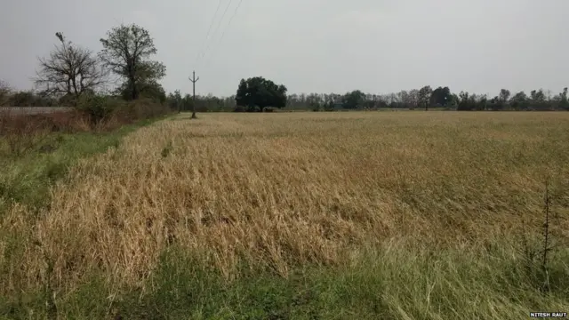 गारपीट