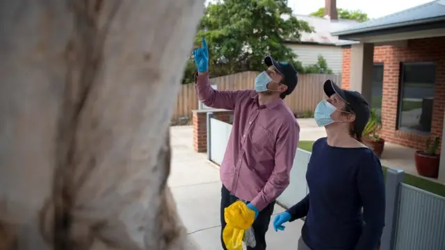 تعيش حيوانات الأبسوم في الضواحي التي تكثر فيها الأشجار والنباتات، حيث يتوفر غذاؤها في حدائق المنازل