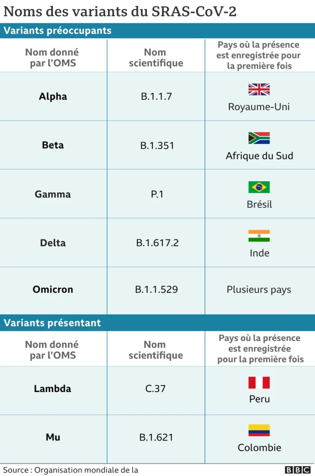 Graphique des variants du Covid
