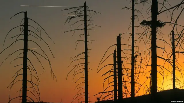 ਗਲੋਬਲ ਵਾਰਮਿੰਗ