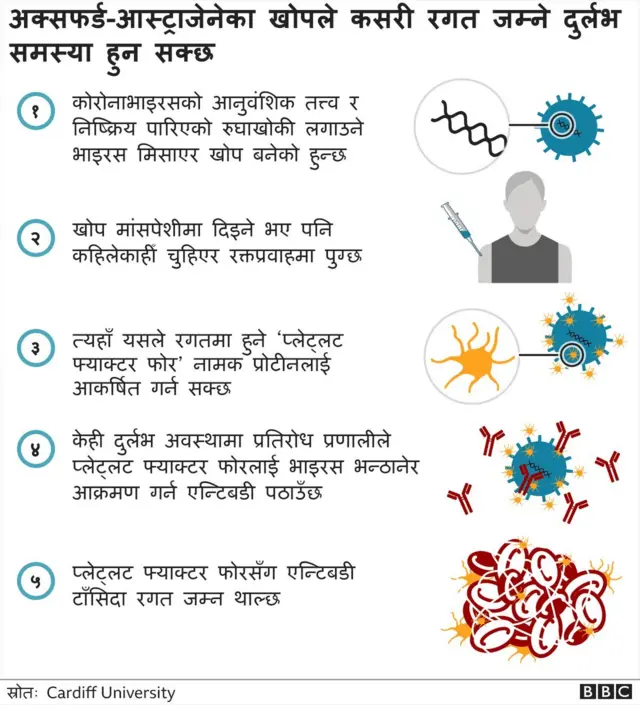 कोभिड खोप र रगत जम्ने समस्या