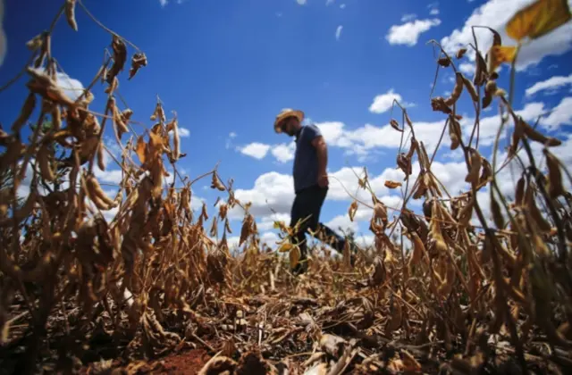 Seca arrasou plantaçãosite lampions betsojasite lampions betEspumoso, no Rio Grande do Sul,site lampions betjaneiro deste ano