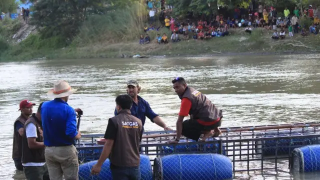 crocodile, rescue, palu