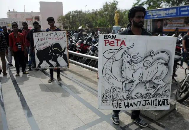 ஜல்லிக்கட்டு ஆதரவு போராட்டம்