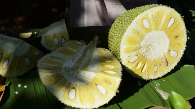 বাংলাদেশে প্রতি বছর উৎপাদিত কাঁঠালের প্রায় ৪৫% নষ্ট হয়