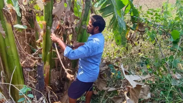 కొత్తవీధి, కొండదొర