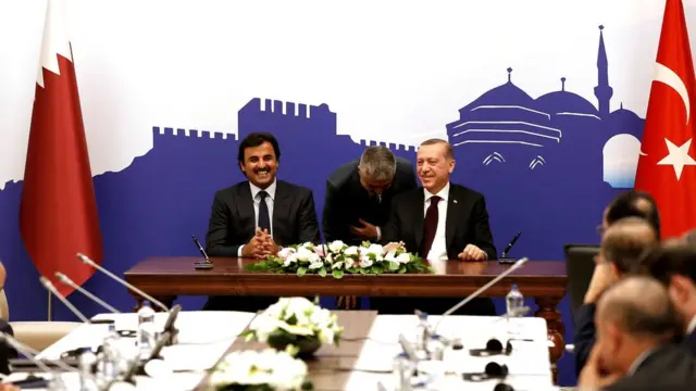 أردوغان وتميم