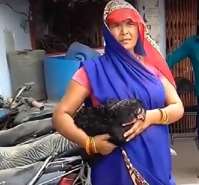 मध्य प्रदेश