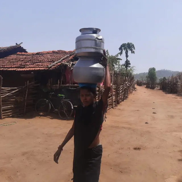 గుత్తికోయలు