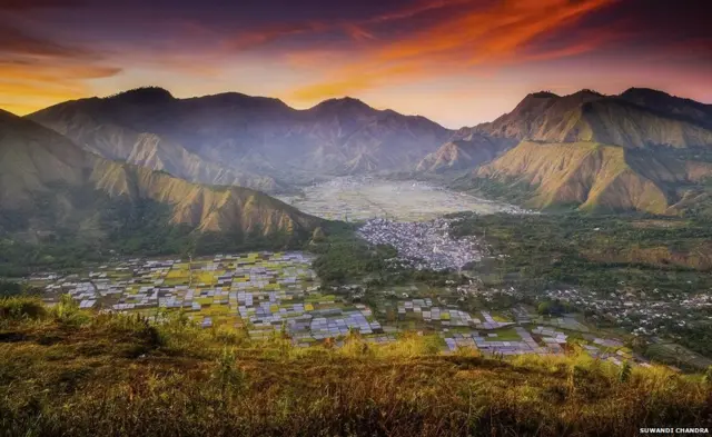 Sembalun Lawang, Lombok, Indonesia, International Garden Photographer of the Year