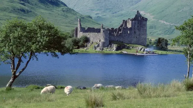 Замок Килхурн и овцы на переднем плане.