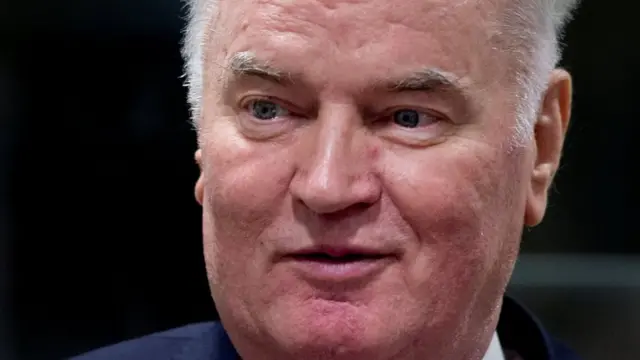 Ex-Bosnian Serb wartime general Ratko Mladic appears in court at the International Criminal Tribunal