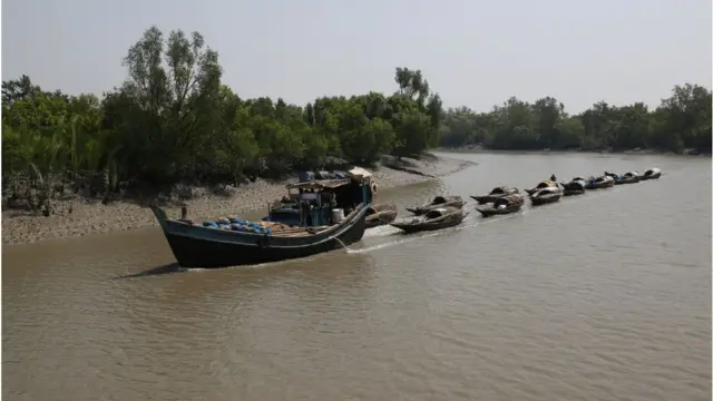 হরিণ শিকারিরা রাতের বেলায় গোপনে ঢোকে।