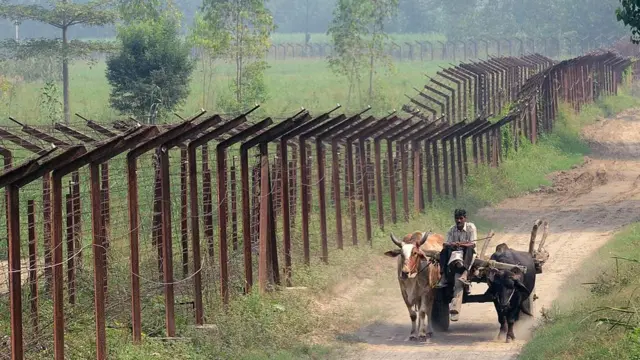 स्मार्ट बाड़