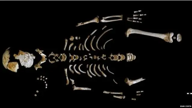 The skeleton of a boy that shattered our view of Neanderthal brain development