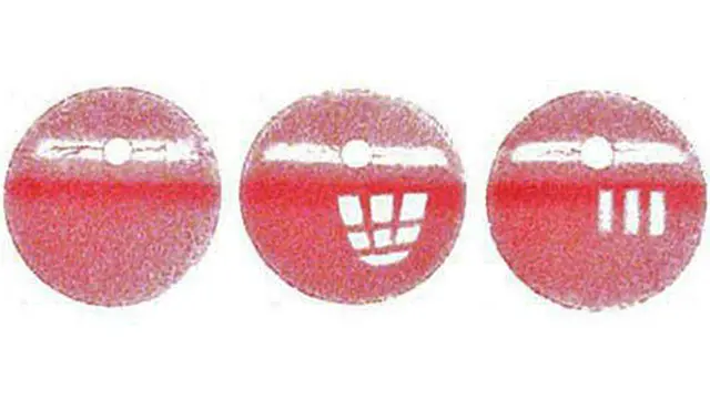 Los optógramas de conejos