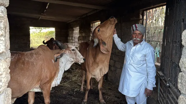 ઉનાકાંડ, ઉનામાં દલિત સાથે મારામારી, વર્ષ 2016નો કેસ, વેરાવળની કોર્ટે ચુકાદો આપ્યો, કેમ 35 આરોપીઓ છૂટી ગયા, બીબીસી ગુજરાતી