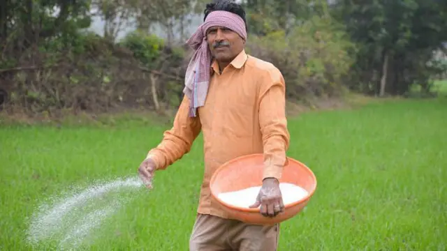 प्रातिनिधिक फोटो