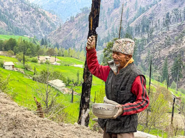 खेतबारीमा सिमी रोप्दै किसान